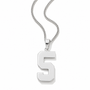 A silver pendant necklace featuring a bold, polished number 5 charm on a matching silver chain, shown against a plain white background.