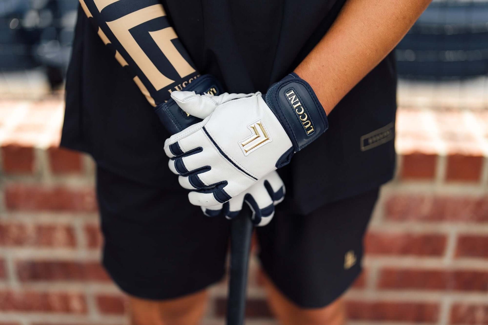 Luccini Baseball Batting Gloves | Legacy Series – White/Navy